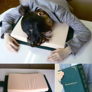 5-Book-Shaped-Pillow-300x300