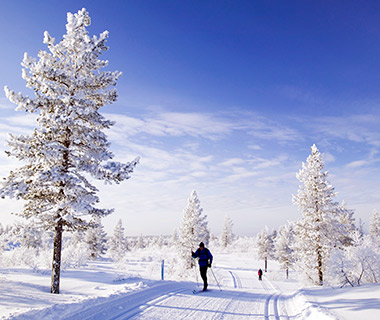 Cross-Country Skier in Northern Finland