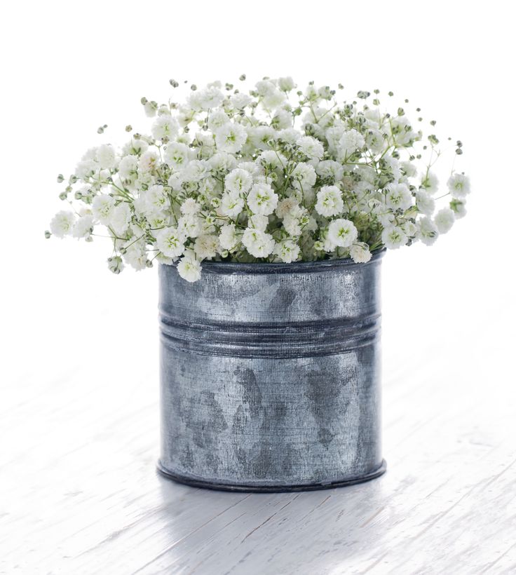 Bouquet of white gypsophila, baby's breath flowers, on wooden background