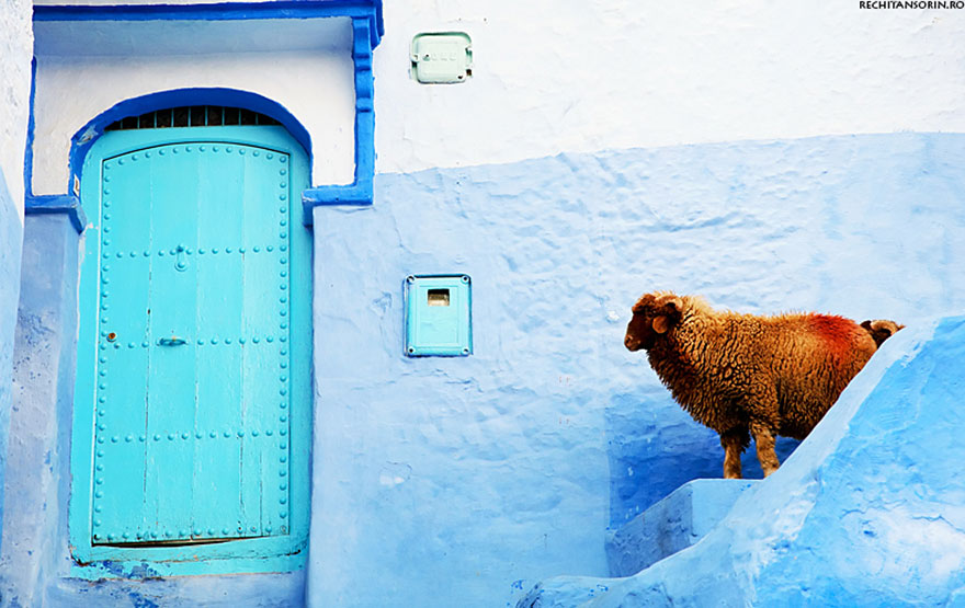 blue-streets-of-chefchaouen-morocco-8